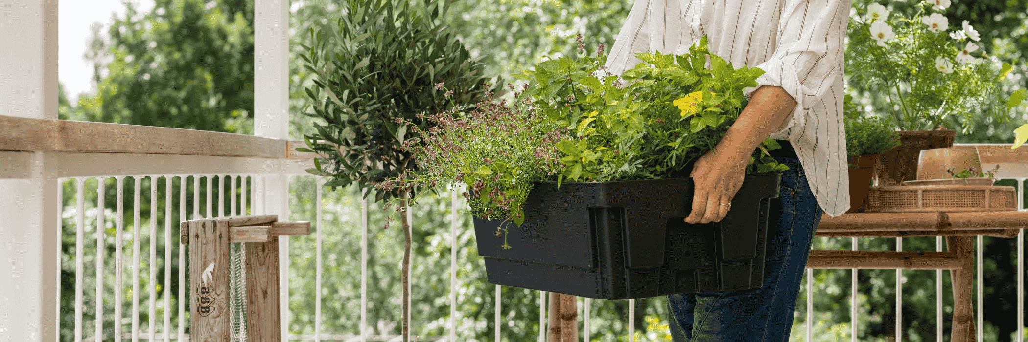 Biolan Planter Kasvatusallas